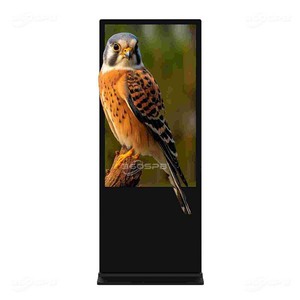 360SPB | IFS55A 55 ''сенсорный экран компьютерный киоск со встроенным Windows-компьютером и HD-монитором