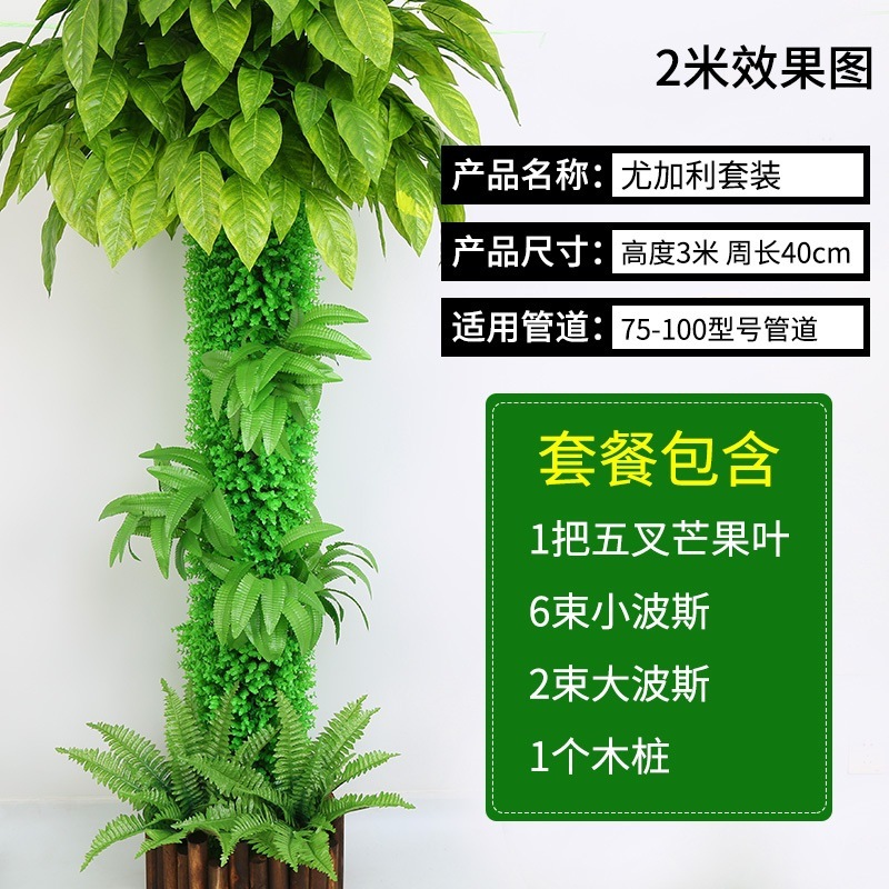 Ensemble d'eucalyptus B