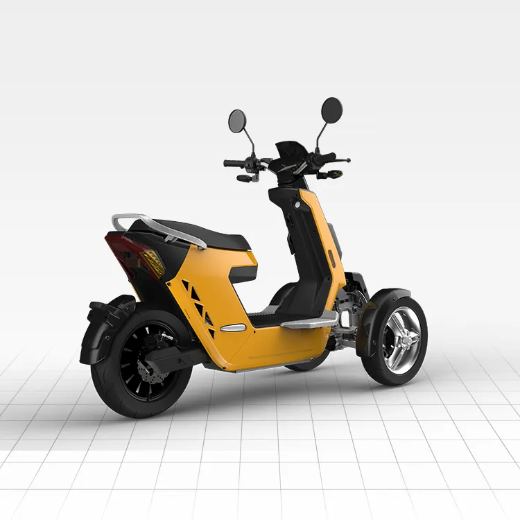 V28 Scooter elettrico a ruota larga potente Trike a tre ruote EEC