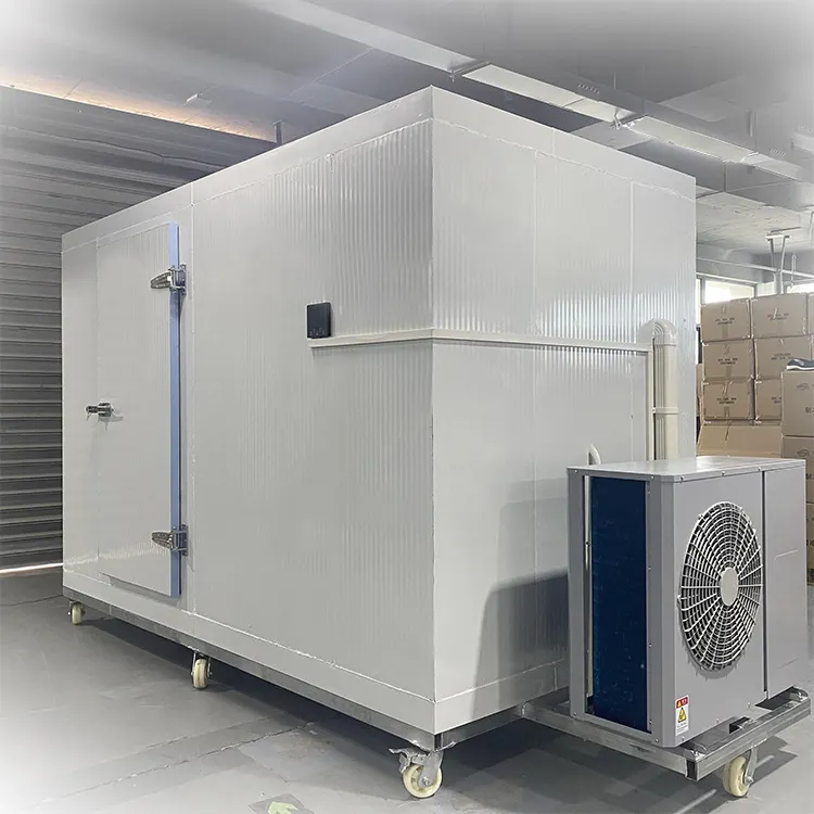 Enerji tasarrufu endüstriyel Mini kullanımı kolay Blast buzdolabı ve derin monoblok dondurucu komple soğuk oda depolama