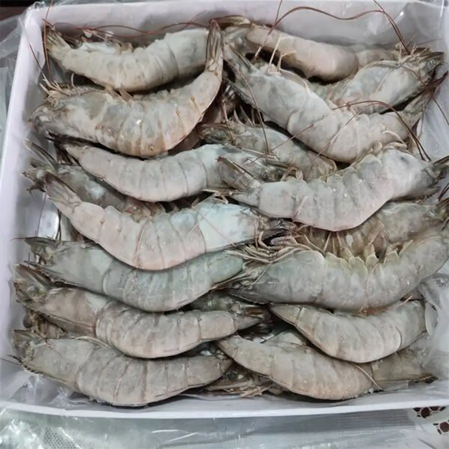 Crevettes surgelées de haute qualité, Crevettes tigrées naturelles surgelées
