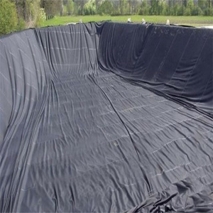 Tarım bir tarafı pürüzsüz 2mm HDPE geomembran - Product Image 4