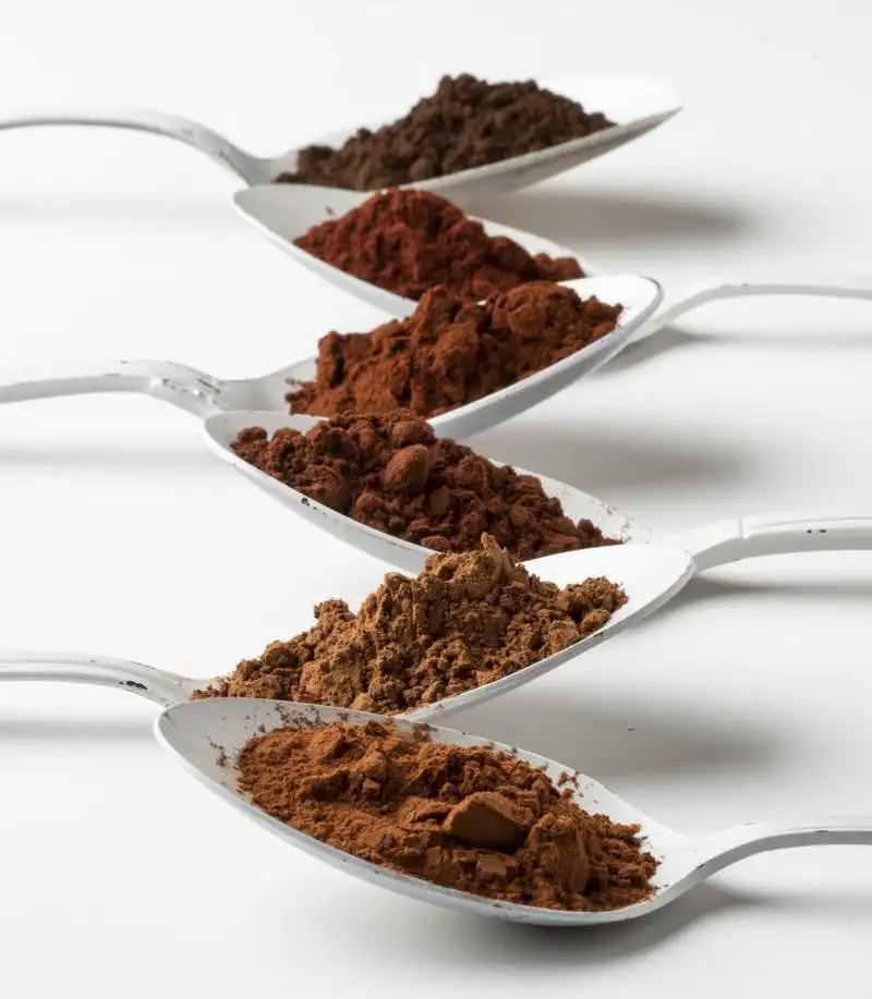 Fornecimento de fábrica Natural Dark Cocoa Powder Medium Fat Reduced Dutch Process Processamento bruto em sacos a preço competitivo