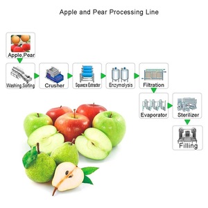 Turnkey Project New <strong>500</strong>-20000kg/h <strong>apple</strong> Juice Machine <strong>Apple</strong> Pulp Production Plant Fruit Processing Line Manzana/apel Juice - Product Image 6