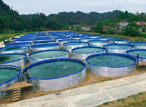 Bạt trang trại hồ bơi mạ kẽm mạ kẽm cho Nuôi Cá Ao nông nghiệp - Product Image 6