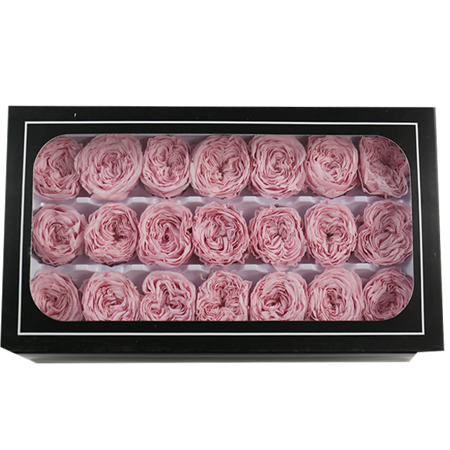 Rosa flor de cerezo