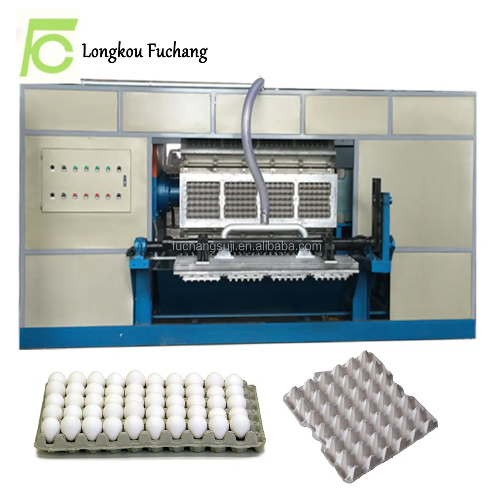 Automatic Paper Pulp Egg Tray Production Line / Waste Paper Recycle Used Egg Tray Machine / Small Machine Making Egg Tray