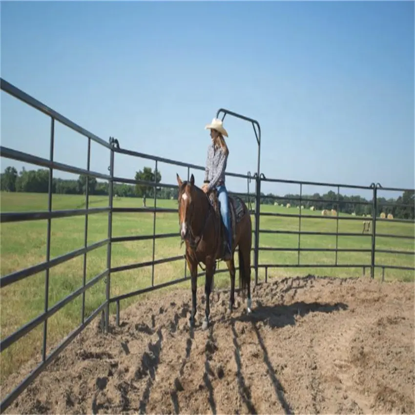 Équipement de ranch clôture en acier cheval cour ronde bovins corral vache clôture panneaux pour ranch