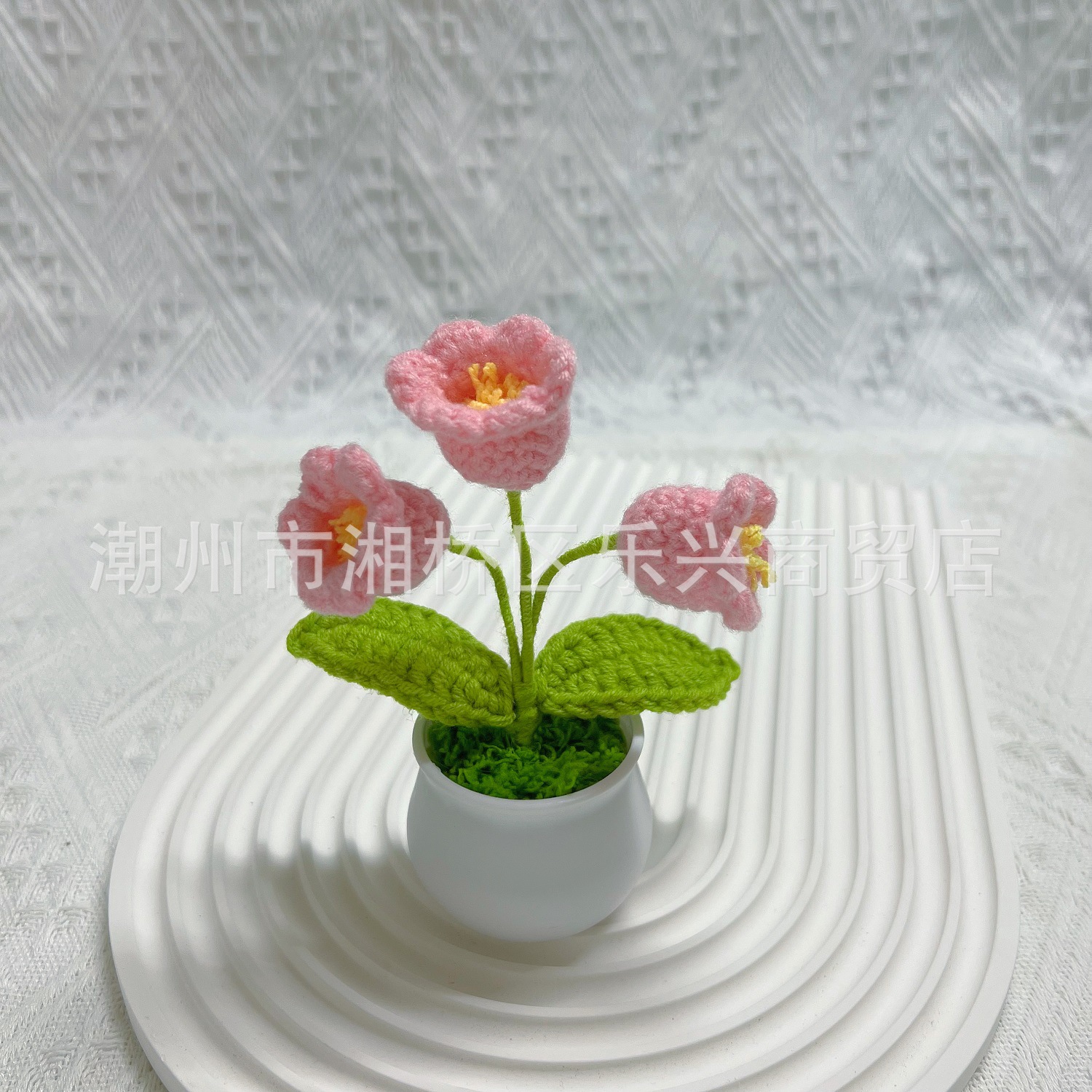 Pink Lily small pot plant