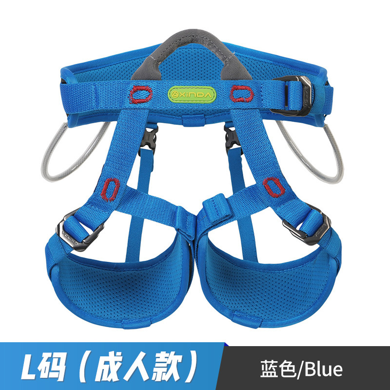 Bleu (Taille L, Adulte)