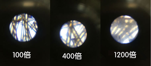 显微镜套件实验室LED 100X-400X-1200X家庭学校科学教育玩具礼品精制儿童生物显微镜 - Product Image 3