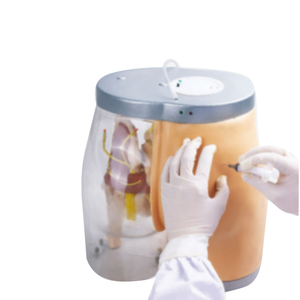 Palpación de auscultación cardiopulmonar completamente automática, simulación de ordenador, modelo de palpación, simulador de Maniquí de enseñanza, WN-M-10A - Product Image 5