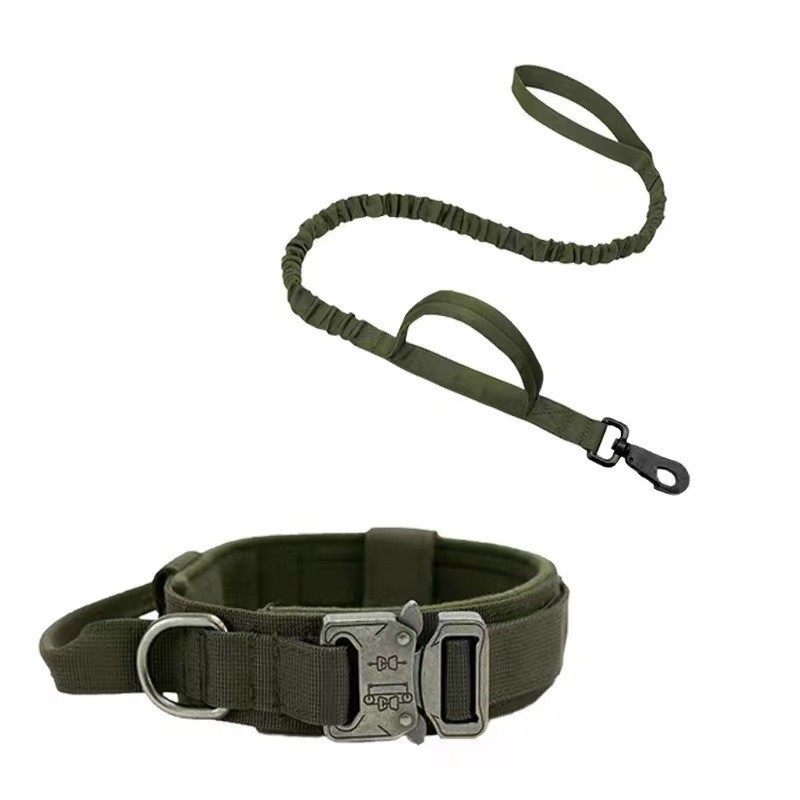 ZH001 Collier et laisse verts
