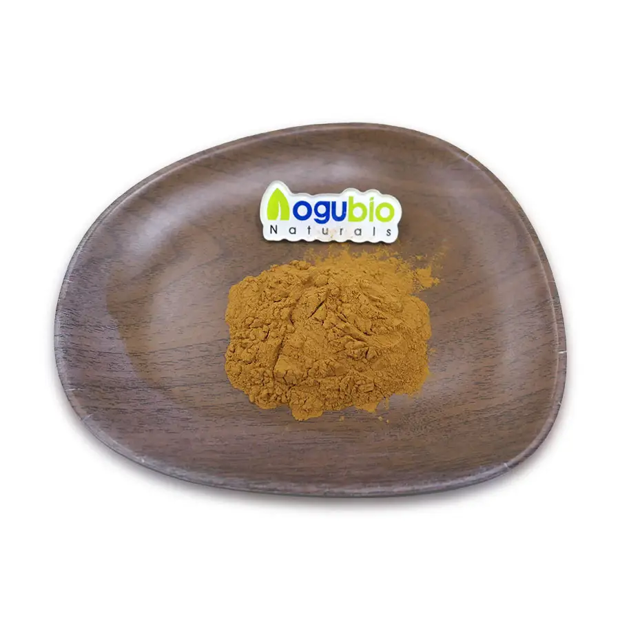 Pasokan pabrik suplemen ekstrak semanggi merah 10:1 98% biochanyin A Powder