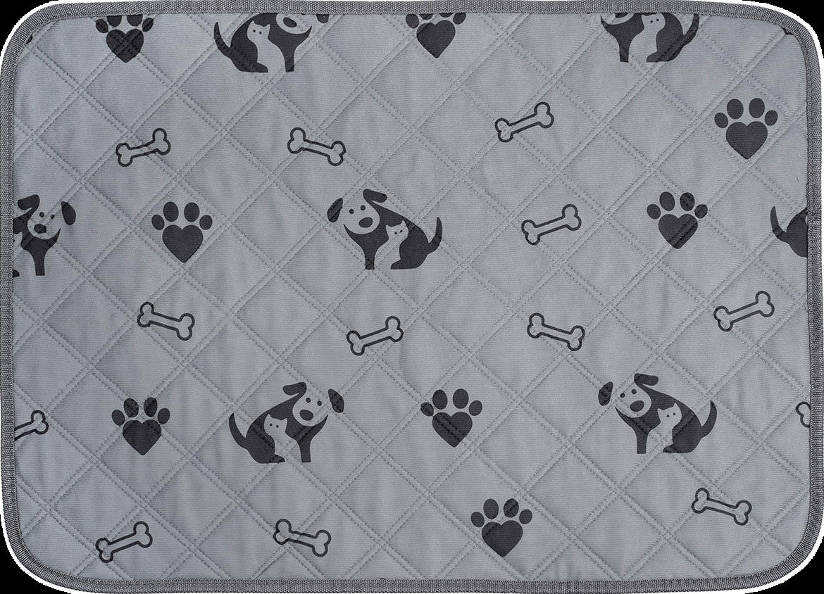 Black dog on gray background