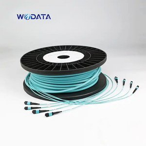 1M Multimode <strong>Trunk</strong> Cable 8/12/24f LC OM3/OM4 MPO <strong>MTP</strong> Fiber Optical Patch Cord - Product Image 5