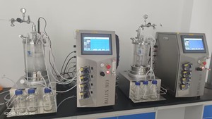 Glas fermentation gewichte Glas bio reaktor Fermenter Magnet rühr behälter 1L