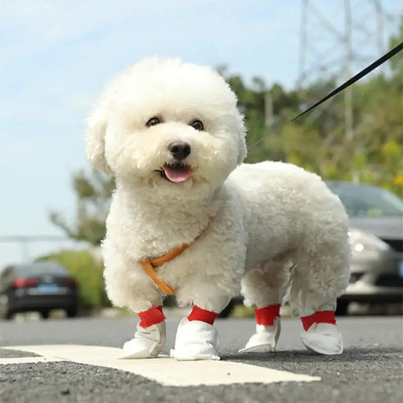 2023 hotselling dùng một lần Dog Boots Pet giày cho chó không thấm nước không trượt mềm dùng một lần Dog giày vớ