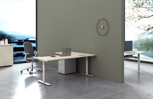 Ergonomic Dual Motor Electric Height Adjustable Stand Fast <strong>Installation</strong> Modern Style Office <strong>Computer</strong> Desk Modular Home Use - Product Image 6