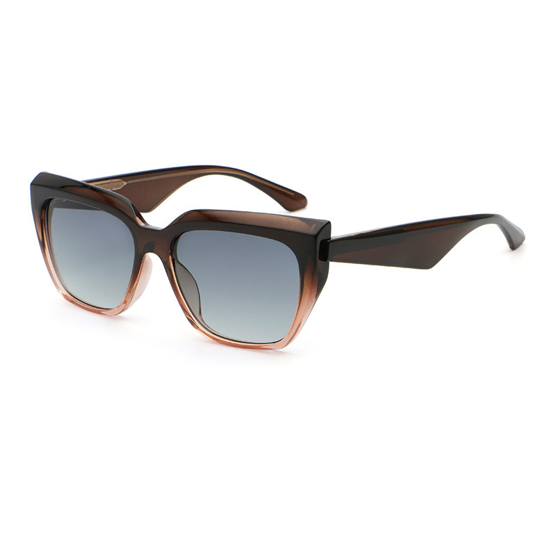 Monture C5 marron dégradé vers marron clair, verres doubles gris.