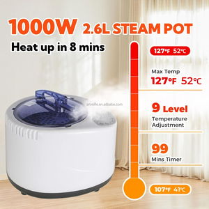 3L Modern Design <strong>Portable</strong> Sauna Steamer Machine Home Sauna Steamer Pot with Touch Button <strong>Control</strong> Panel - Product Image 3