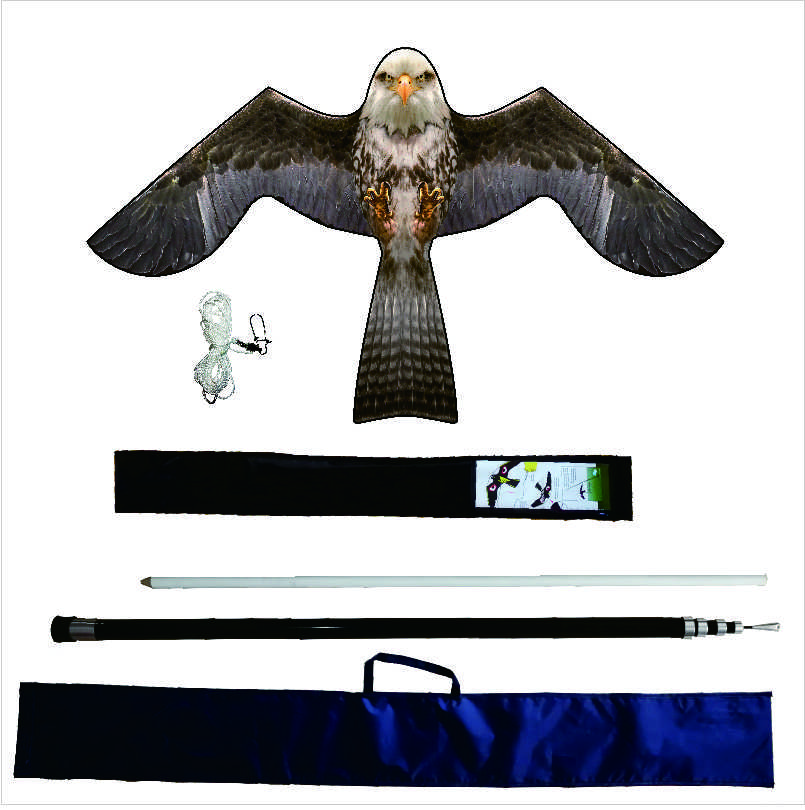 Simulation scary bird kite (single kite)