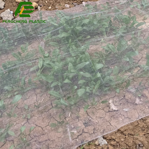 Tốt dệt vườn Moth lưới cho cây ăn quả và rau Crop bảo vệ chống côn trùng lưới - Product Image 5