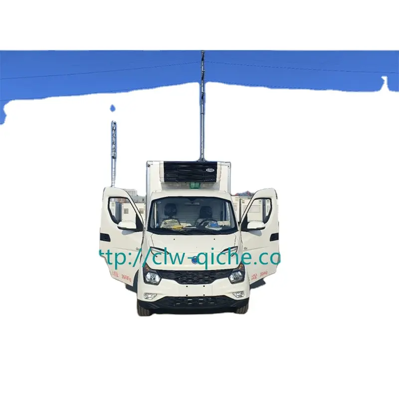 Camion refrigerato elettrico puro,