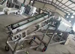 Máquinas de procesamiento de rotura de vainas de cacao de fácil operación Máquina descascaradora de granos de cacao - Product Image 6