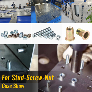 آلة ضغط وتثبيت المسامير الهوائية الأوتوماتيكية PEM، آلة تثبيت وتثبيت المسامير - Product Image 6