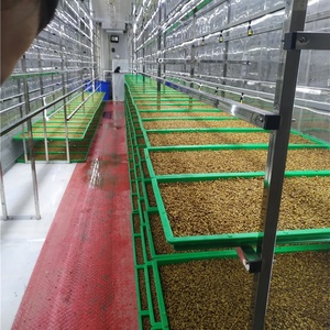 Automatische Landwirtschaft Tierfutter Hydro ponik Futter Verarbeitung vertikale landwirtschaft liche Systeme Pflanz system Maschinen - Product Image 3