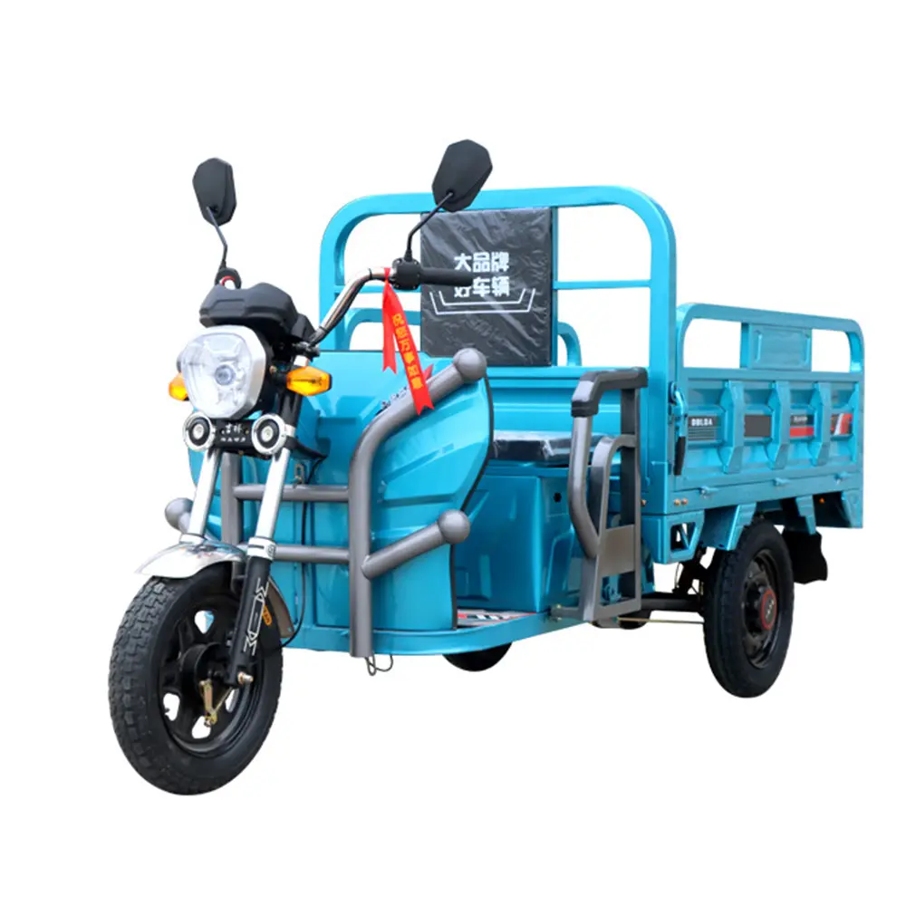 Çin Eec üç tekerlekli bisiklet kargo taşıma 1500w Motor e-bisiklet motosiklet Triciclo Electrico araç üç tekerlekli elektrikli üç teker bisikletler