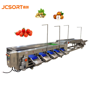 JC SORT Advanced <strong>Automated</strong> High-speed Lychee <strong>Sorting</strong> Grading Equipment Fruit Size <strong>Sorting</strong> <strong>Machine</strong> - Product Image 2