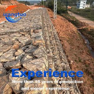 <strong>Hexagonal</strong> Galvanized PVC Coated Gabion <strong>Wire</strong> <strong>Mesh</strong> Roll Metal Frame Rockfall Protection <strong>Netting</strong> Reinforced Woven <strong>Wire</strong> <strong>Mesh</strong> - Product Image 5
