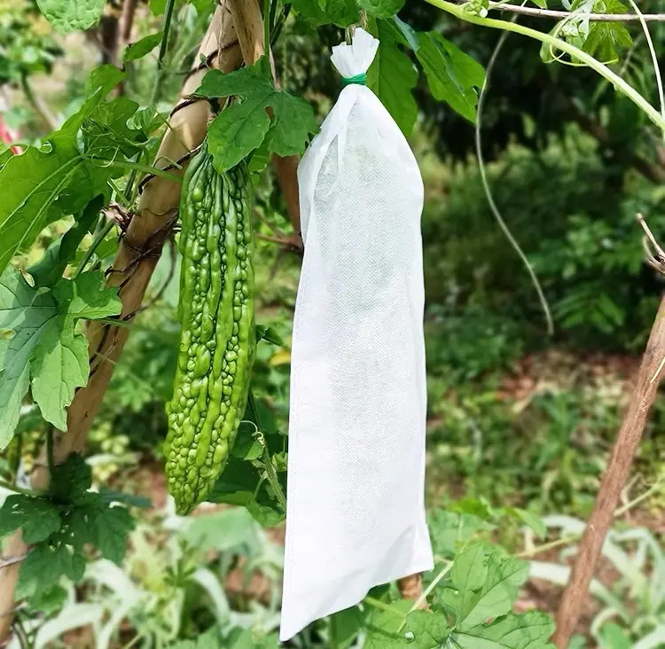Sacos de cordão para proteção contra pragas de pássaros frutas vegetais diretamente dos fabricantes para uva melões amargos buchas para uso em farinha