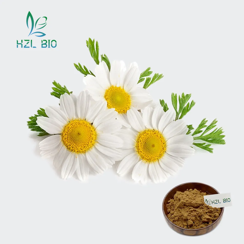 Wholesale Selling Chamomile Extract Powder 10:1 20:1 Chamomile Flower Extract