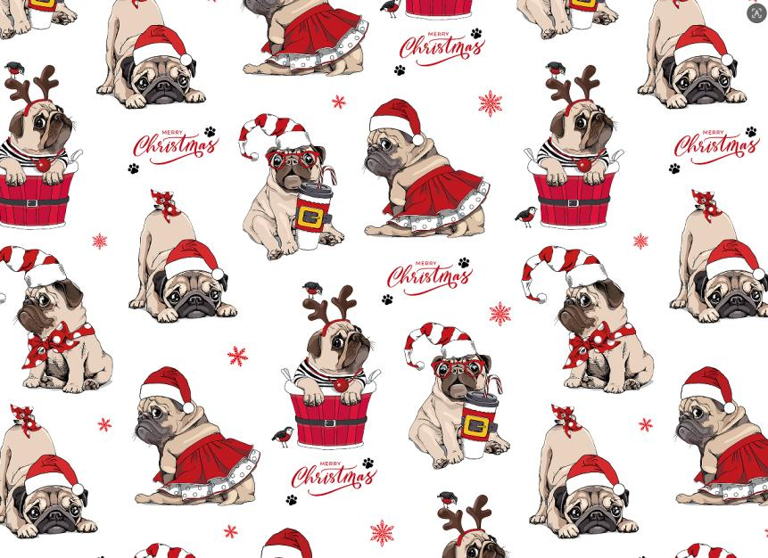 MAY-JDSD-DOG-WHITE-1R17-5M