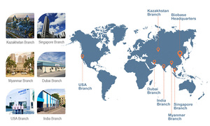 BIOBASE Latest Manufacturer <strong>Dynamic</strong> <strong>Temperature</strong> <strong>Control</strong> System Refrigerated Circulator Heating Cooling Circulator