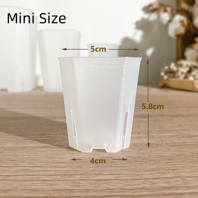 1 Mini Transparente Solo la maceta