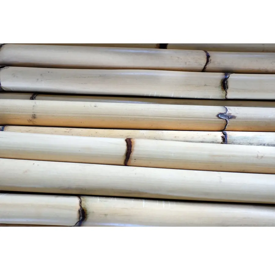 Meilleure vente de cannes agricoles de rotin brut de 3m et 4m/bâtons de cannes en bambou pour meubles et artisanat