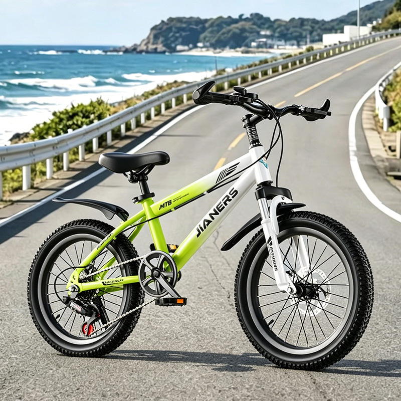 Gradient mint green, variable speed disc brake, shock absorption