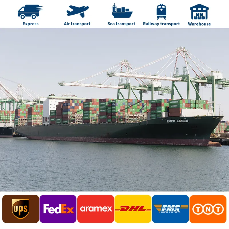 Servicio de carga de mar Puerta a puerta Transporte de carga de mar Servicios de entrega China a Japón Corea Filipinas Malasia Singapur Asia