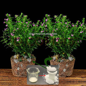 Хит продаж, Прямая продажа с завода, гидрогель для сельскохозяйственных деревьев, готовый к отправке водопоглощающий полимерный сельскохозяйственный - Product Image 4