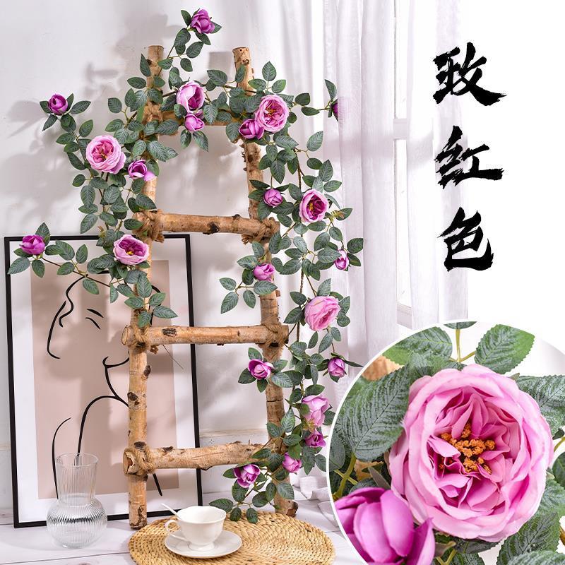 Vigne Austin Rose - Violet