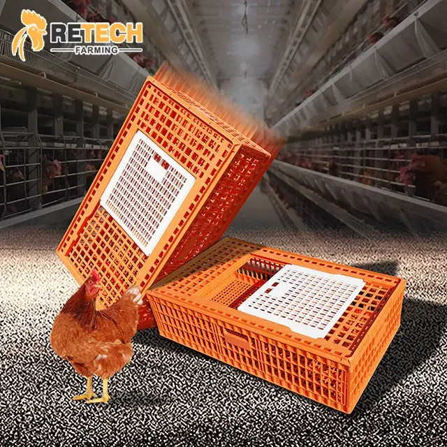 鶏の繁殖農場の虐殺家のための家禽輸送ケージ