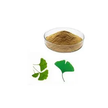 خلاصة عشبية مسحوق جينكوبا ليفيس/خلاصة نبات الجنكو بيلوبا عشبية من الهند