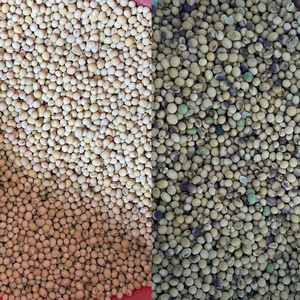 Hyperspectral Rice <strong>Color</strong> Sorter <strong>Machine</strong> for Seed Coffee Bean <strong>Nut</strong> Advanced <strong>Color</strong> <strong>Sorting</strong> <strong>Machine</strong> Scientific Grade Colour Sorter - Product Image 5