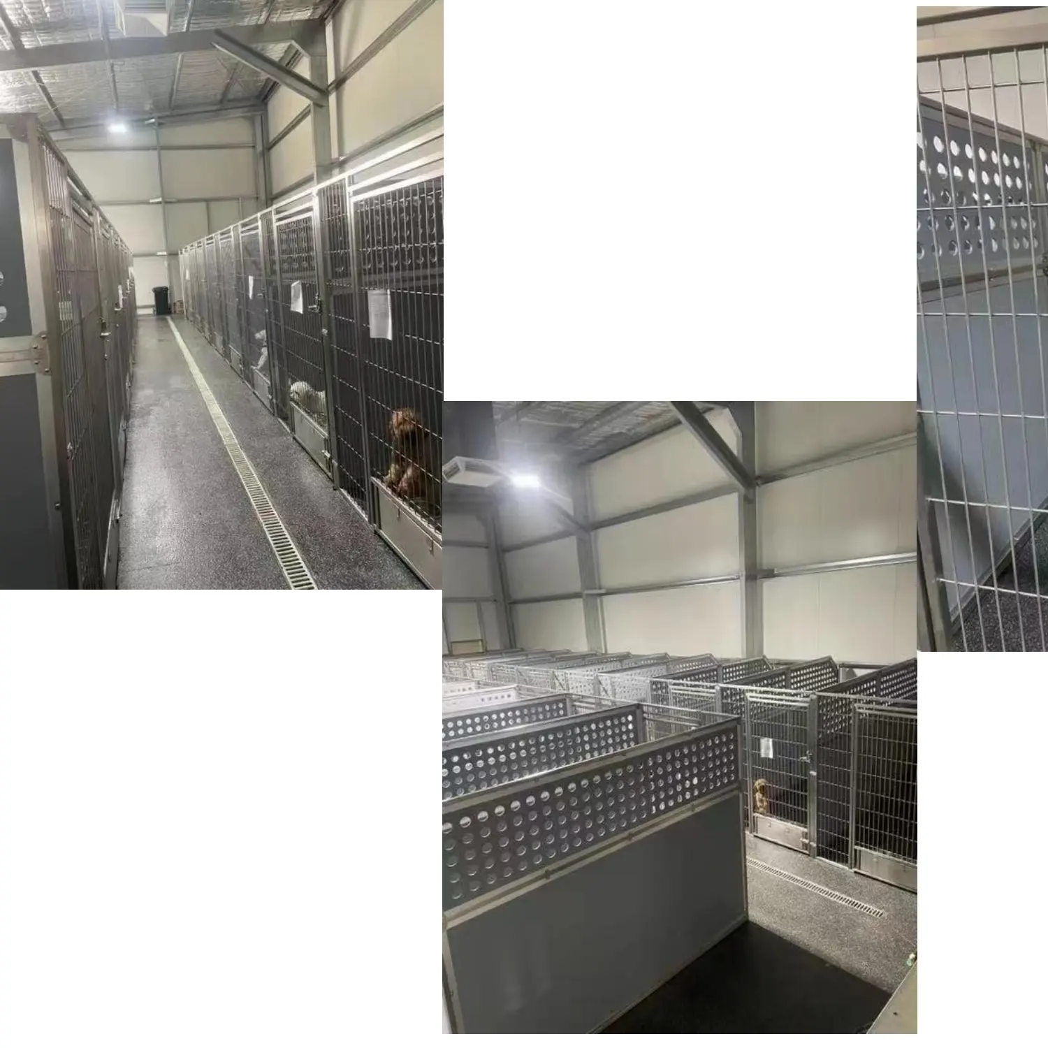 Aeolus Gebouw Hond Run Commerciële Hondenkennels Aan Boord Kennel Huisdierenkooien, Dragers En Huizen Houten Frame Aanpasbaar Klassiek