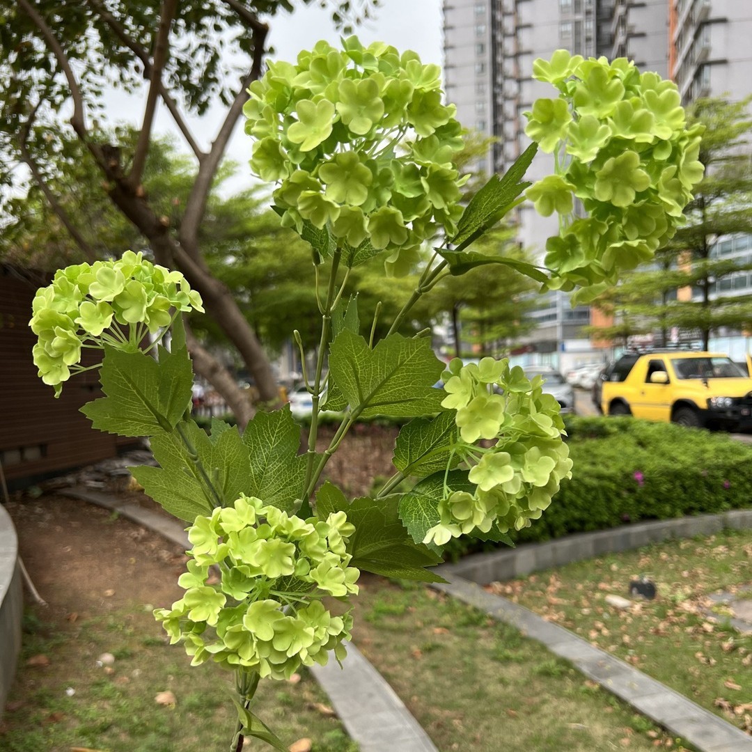 5 têtes d'hortensia en bois de style européen - vert