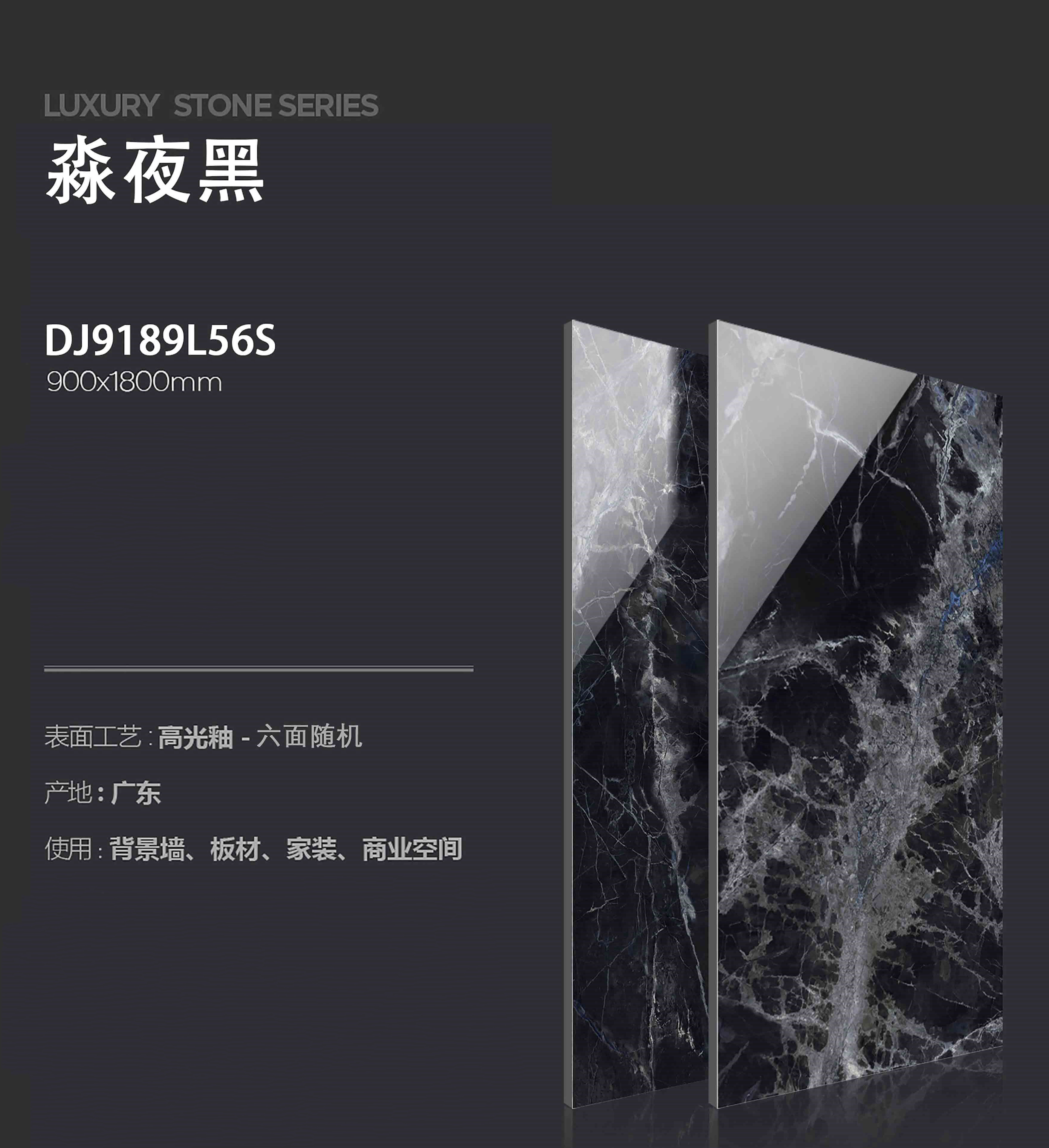 DJ9189L56S